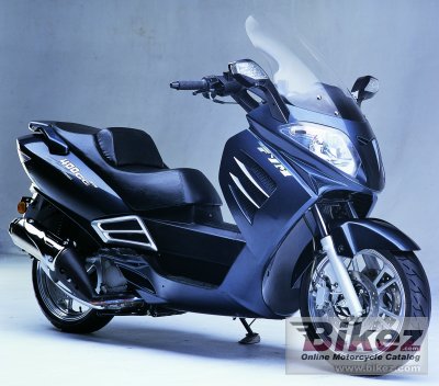 2008 Sachs FYM 400 photo
